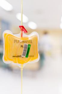 Le traitement a entraîné une baisse significative de la fièvre 48 heures après la transfusion