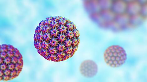 Chaque année en France, les virus HPV sont responsables de 6&#8239;000 cancers et de 3&#8239;000 décès