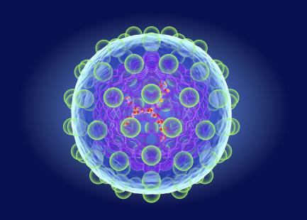 Des progrès thérapeutiques spectaculaires pourraient éliminer le virus C à l’horizon 2030